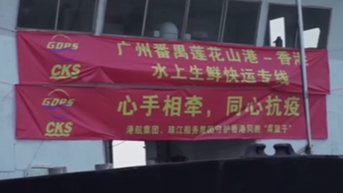 首批经水路供港内地蔬菜运至香港