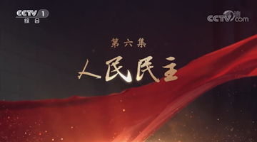 《领航》|第六集:人民民主