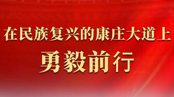 代表委员共话推进中国式现代化
