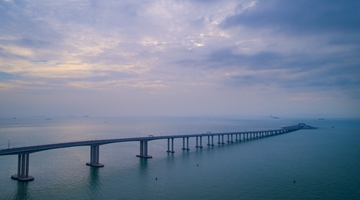 大公报：湾区发展势不可挡 抓机遇香港前景亮丽