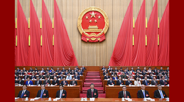 十四届全国人大二次会议在京开幕 习近平王沪宁蔡奇丁薛祥李希韩正等在主席台就座 李强作政府工作报告 赵乐际主持大会 听取关于国务院组织法修订草案的说明等